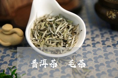 普洱茶 毛茶/2023042983818